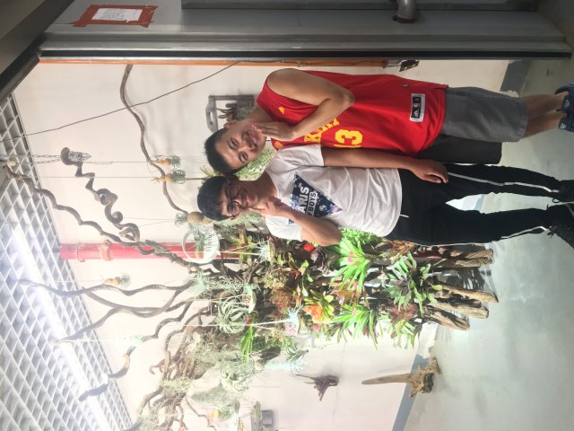 2017雲彩之旅
